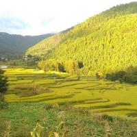 Chitlang