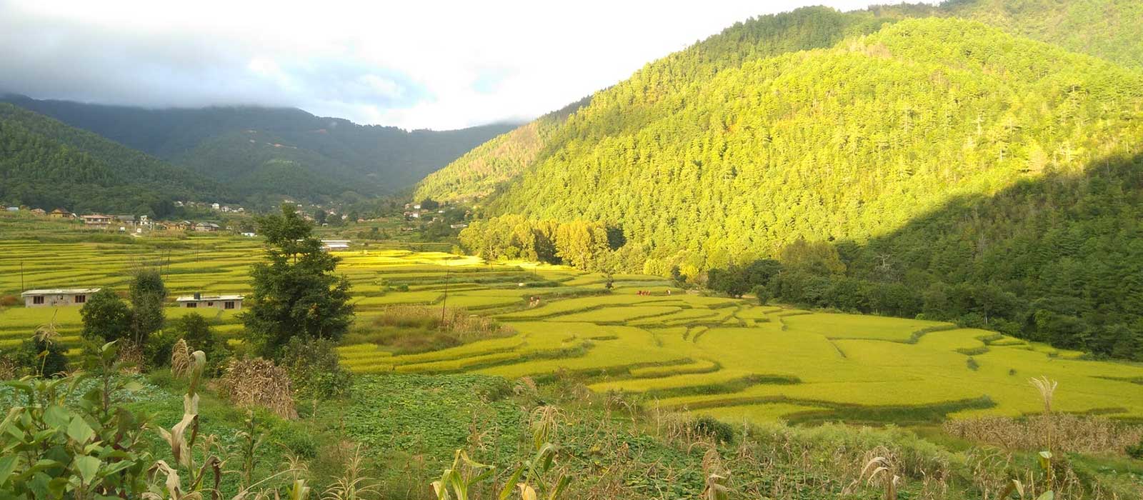Chitlang